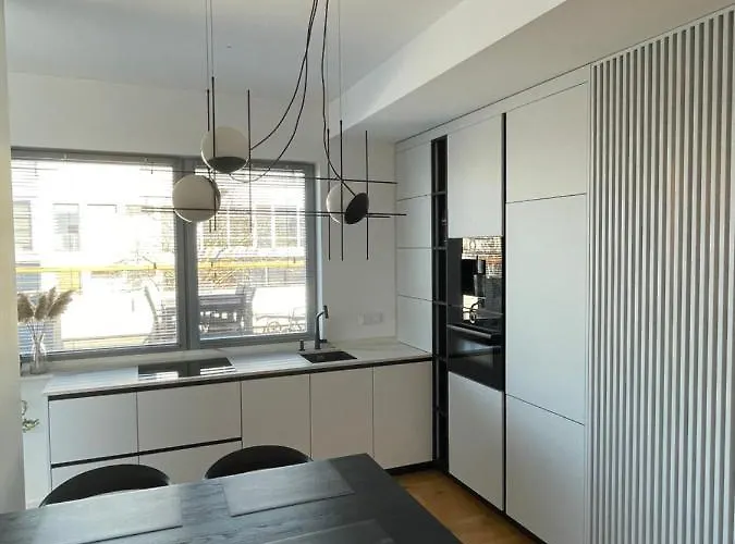 Rannakivi Penthouse 公寓 派尔努