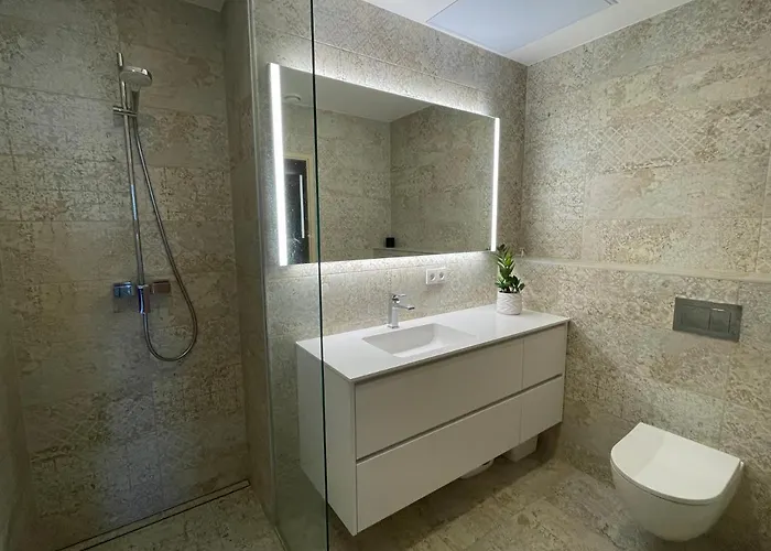 Rannakivi Penthouse 公寓 派尔努